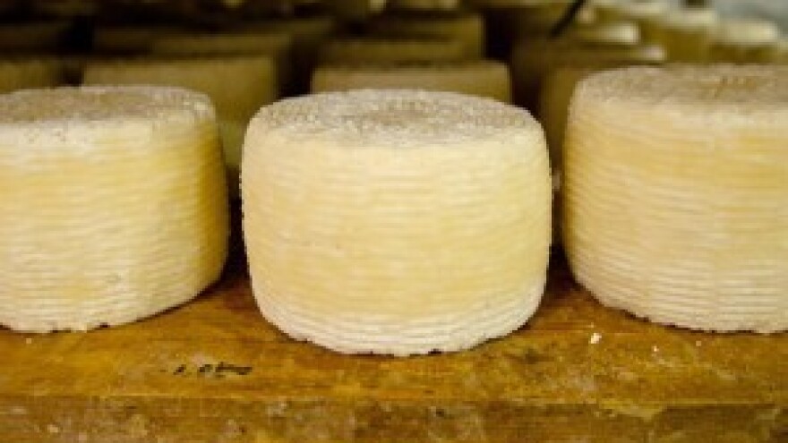 Sirarstvo u neolitiku