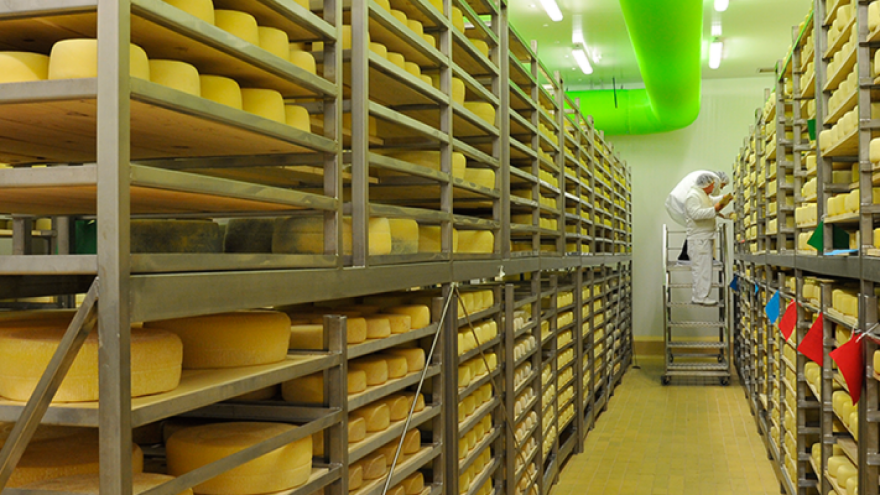 Miješani sir u orahovom lišću u kategoriji najboljih sireva na svijetu!