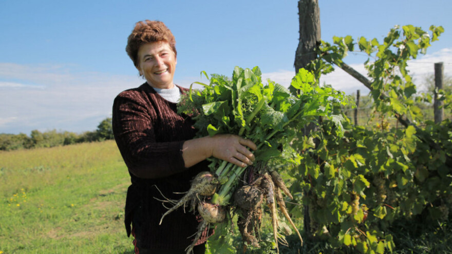 Biovegin forum o jačanju tržišta eko proizvoda