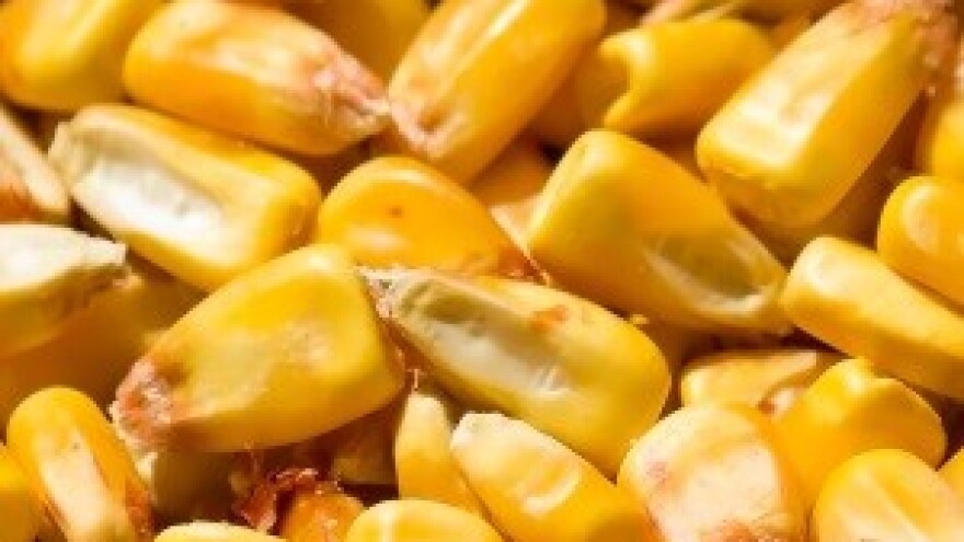 U Srbiji iz robnih rezervi ukradeno žito vrijedno 20 milijuna eura