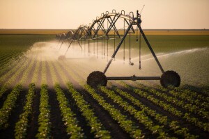 Županije nastavljaju poticati ruralni razvoj