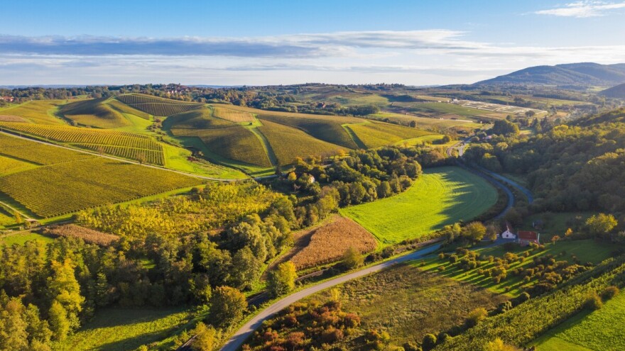 Županije za poljoprivredu izdvajaju više od 55 milijuna eura: tko najviše ulaže u 2026.?