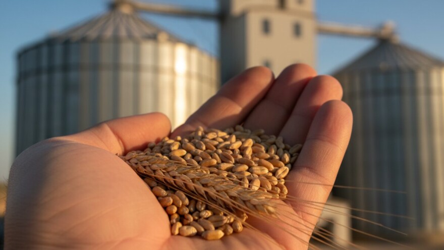 Županjska mlinska industrija jača od krize