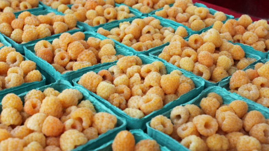 Žute maline su slađe, aromatične i pune vitamina