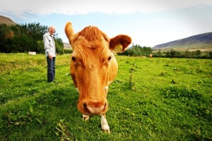 Umjesto visokih kazni za farmere žuti karton!