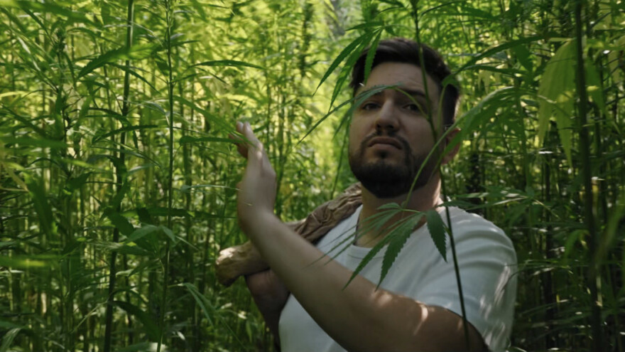 U petoj epizodi Duluma zemlje Zvonimir Kalić i njegova polja industrijske konoplje