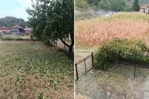 Olujno nevrijeme u Zvorniku uništilo kukuruz, ali i voćke