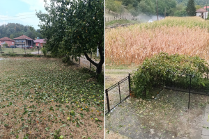 Olujno nevrijeme u Zvorniku uništilo kukuruz, ali i voćke