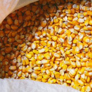 Poljoprivreda Kupoprodaja