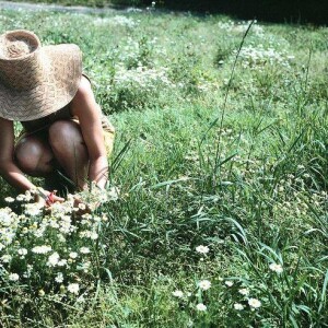 Контеса Јапонска