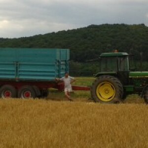 tomislav radošević