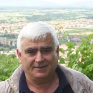 Zvonimir Brozinčević