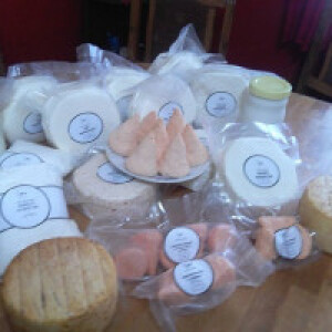 Katarina Kozarić-Šabarić