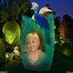 Svetlana Mijatov
