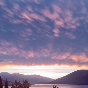 Стојан Тафра