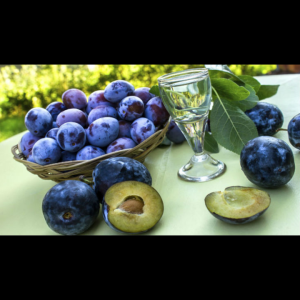 Nikola Borisavljevic