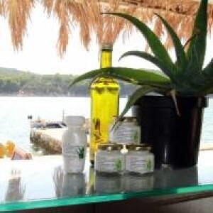 vesna balenović tomaš