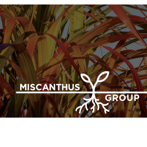 Miscanthus d.o.o.