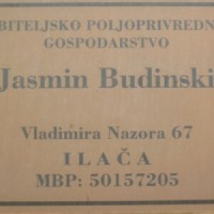 Jasmin Budinski