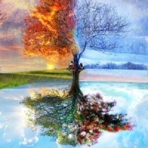 blaženka ivanušić