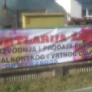 Vesna Žiška