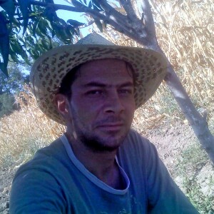 Новица Павловић