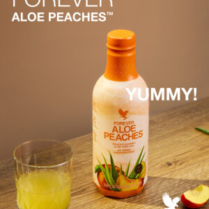 Aloe Vera Zvezdara 063/8228313