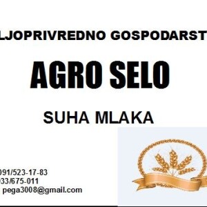 predrag gvozdenović