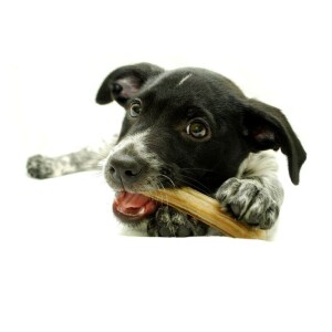 Gordana Jović Atlagić