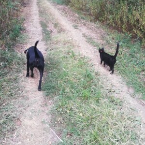 Anđelija Marinković