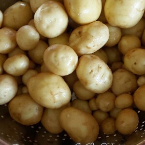 Miroslava Martinović