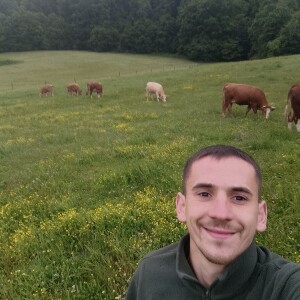 Dario Abramović