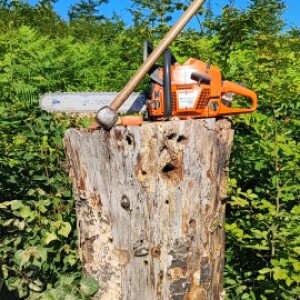 Zdravko Janko Habuljko