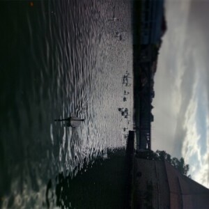 Murisa Dučanović-Šljivar