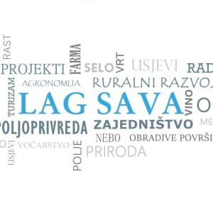 LAG SAVA