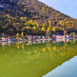 Brankica Đordđević