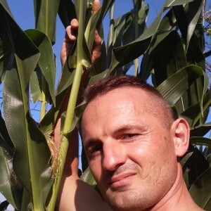 Elvis Dado Horvatinović