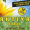 AKTIVA