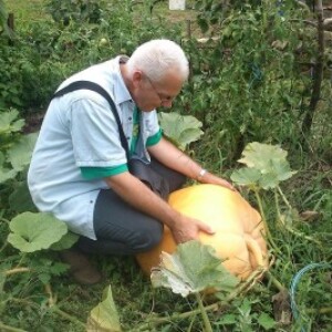 Stevan Davidović - Zeremski