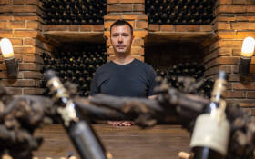 Prilagođavanje stila vina potrebama tržišta | Ivan Gerštmajer