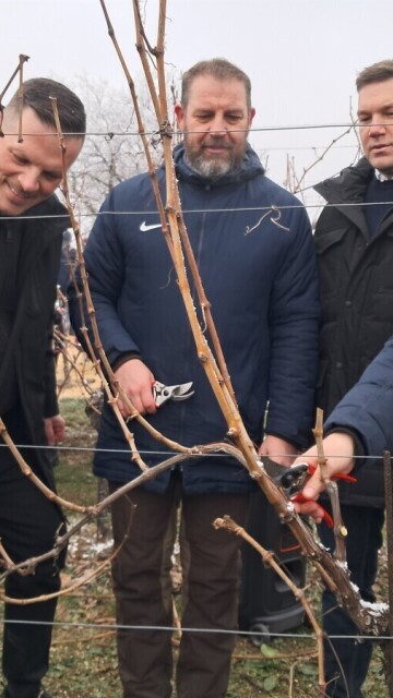 10. Vincekovo na Pokušalištu FAZOS-a