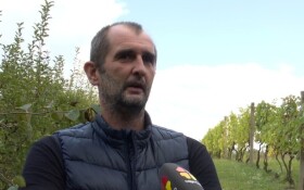 Željko Goluža: Unatoč svim vremenskim poteškoćama, šljiva je bila vrhunske kvalitete