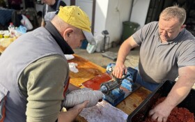 Svinjokolja u Posavskim Podgajcima 2025.